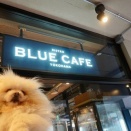 BISTRO BLUE CAFE 関内