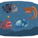 深海に詳しいんだけど質問ある？