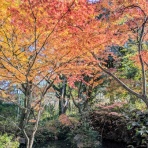 自然体で行こうじゃないか！