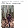 【衝撃】日本刀、使い手によって破壊力に大差が出る模様ｗｗｗｗ