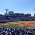 【悲報】野球に全く興味のない嫁さん、DeNAの核心を突いてしまうｗｗｗｗｗｗ