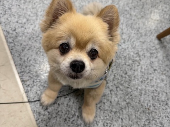 お久しぶりのりったんです💕💕🐶