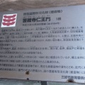 阿波箸蔵寺ＮＯ９　土佐から移築された山門（大門）を起点に玉垣の参道が整備された