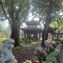12香港2024/12/8(日)の2九龍寨城チャイセン公園