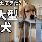 BLITZ WORKS 俺のブログ by ローリー青野