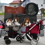 メロディ＆ミニーの写真館
