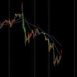 『11月19日』の画像