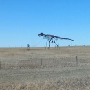 アメリカ人「俺達の国の道路沿いにあった変なものを見せていくｗｗｗ」