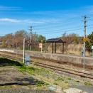 映画　『スコーピオン・キング３』