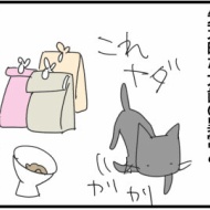 フードで難しい猫、ルーシーの場合