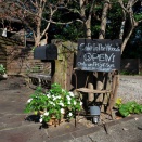 日本（１３５）　神奈川　鎌倉　Cafe In The Woods