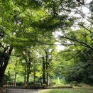 探しものには、『たぬきがこけた』