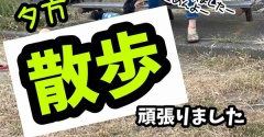 夕方はずいぶん涼しくなりました。
