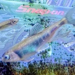 株式会社　窪製作所代表ブログ