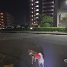 今日は秋田駒ヶ岳に行ってきた