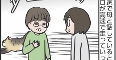 風のように駆け抜けるマロちゃん