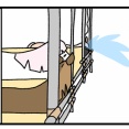 風花一年四ヶ月の成長