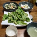 春の旬菜