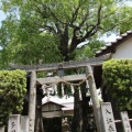 髙松平野の熊野信仰　髙松市植田町周辺には、どうして熊野神社が多いのか？