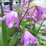 eN de baR のブログ