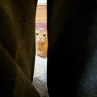 股をこじ開けて手が出てくる