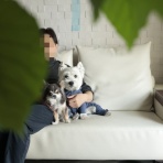 たかシェフのおうちごはん。と、白い犬。と、チワワ。