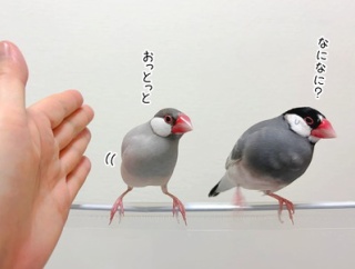 ふたつのま～るい体がぽよんぽよん