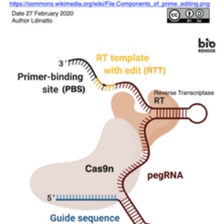 crisp_bio