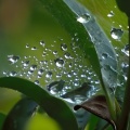 梅雨明けの朝