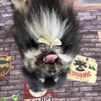 大分県別府市 ペットショップ ワンラブ ゆめタウン別府店のスタッフブログ