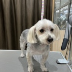 静岡県沼津市 ペットショップワンラブ カインズ沼津店のスタッフブログ