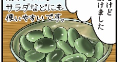 食べて歩いてご自愛ライフ｢夏のさっぱり豆小鉢｣