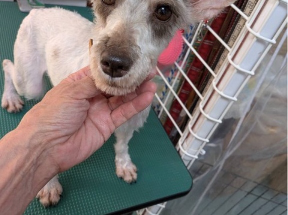 シェルター物語です🩷