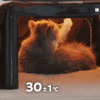 クロネコヤマト「猫が一番喜ぶコタツの暖かさを検証してみました！」 → 衝撃の結論で終わってしまうｗｗｗ