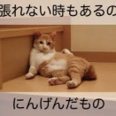 書くに書けない状況に悩む画像をあげとく