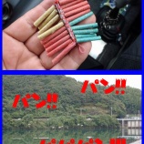 『【仁淀ぶらり見て歩き】サギに爆竹』の画像