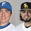田中正義17S オスナ16S←これ