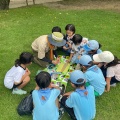 ＢＶＳ隊　ピカピカ✨大作戦と公園で遊ぼう