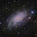 NGC2904　きりん座の渦巻銀河
