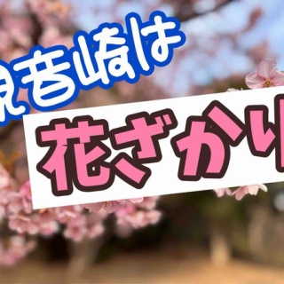 メルロコ一家の横須賀ストーリー