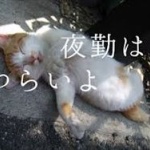 夜勤10年目やがもう精神がアカン…