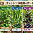 家庭菜園始めた結果w