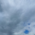 夏に詰められる