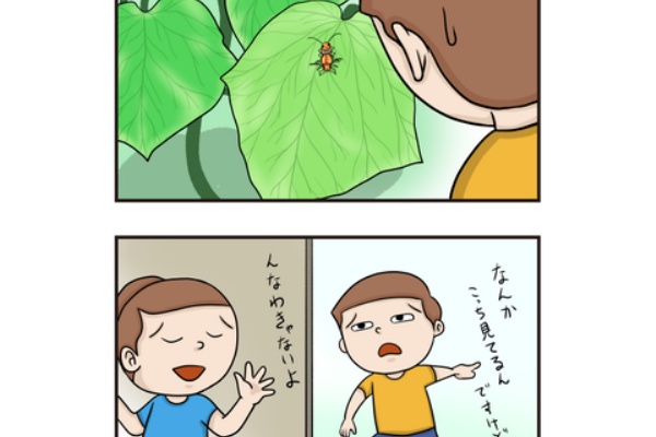 うちの4コマ劇場