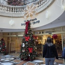 パーティー行くならコッソリと…🤫Bacchus 12室