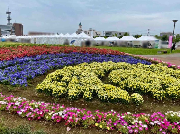 花も緑もメルシェもグルメも！『長岡市民防災公園』で『第34回長岡市花いっぱいフェア2026』開催！5月23日、24日。