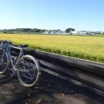 ランドナーといつまでもbyパジャマ雄三