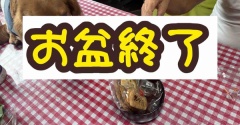 みんなで食べました。