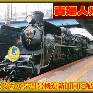 湘南色の部屋（Shonan-color train）