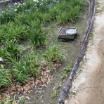 名古屋（の近く）のブログ
